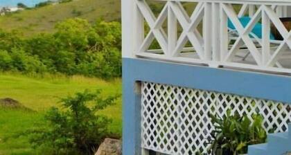 Hilltop Cottage w/ breathtaking view of Atlantic Ocean.