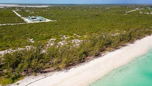 An aerial view of a coastal area with a sandy beach, dense greenery, and a few buildings.