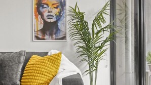 تلفزيون