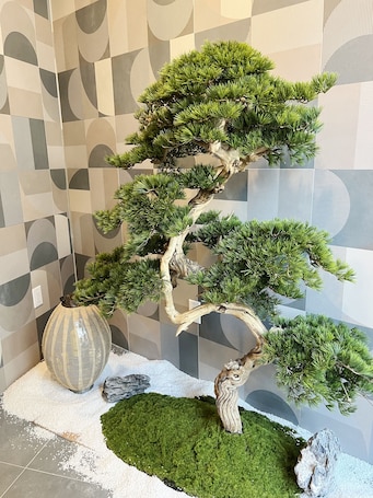 Entrada de la propiedad