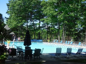 Una piscina con sillones de descanso y sombrillas, rodeada de árboles.