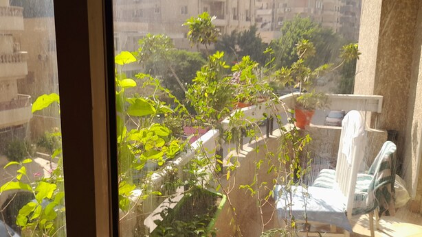 Vista desde una ventana: un balcón con plantas en macetas y una silla.