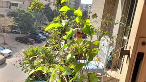 Un balcón con plantas en macetas y vistas a coches aparcados y edificios.