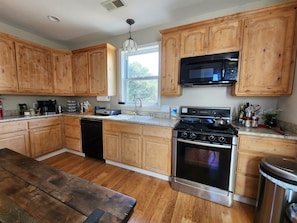 Fridge, microwave, oven, stovetop - Secluded Hilltop Tower Private Pond EV Charger Firepit Sauna Cold Plunge Dogs ok (Vallecito)