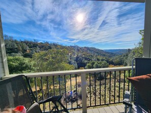 Property grounds - Secluded Hilltop Tower Private Pond EV Charger Firepit Sauna Cold Plunge Dogs ok (Vallecito)