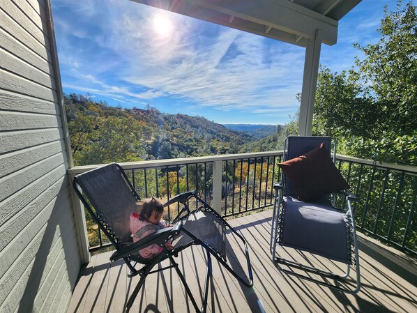 Property grounds - Secluded Hilltop Tower Private Pond EV Charger Firepit Sauna Cold Plunge Dogs ok (Vallecito)