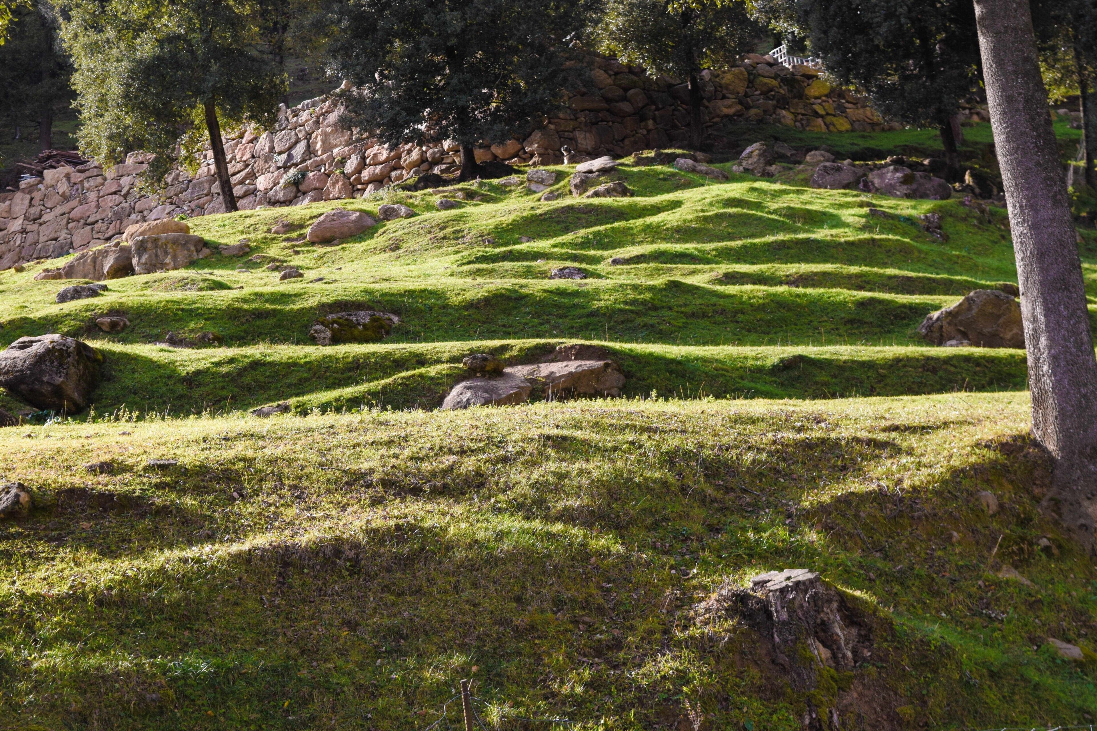 Une colline herbeuse parsemée de rochers, avec un mur de pierre en arrière-plan.