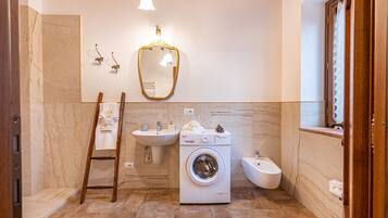 Shower, hair dryer, towels