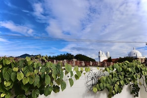 Rooftop view