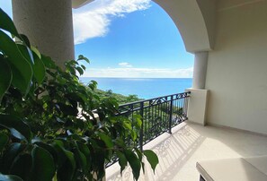 Property grounds - Top-Rated Luxury 3BR Beachfront Penthouse. SCUBA & offshore snorkeling heaven! (San Miguel de Cozumel)