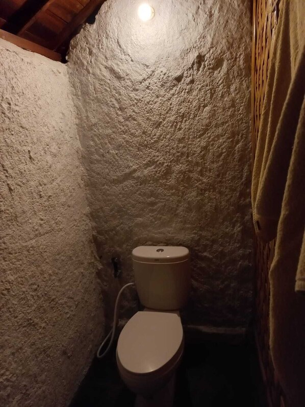 Serviettes fournies, savon, papier de toilette