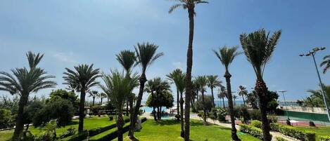 Terrein van de accommodatie