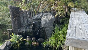 Ein Teich mit Koi-Karpfen und Seerosenblättern, umgeben von Steinen und Pflanzen.