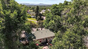 Un quartier résidentiel avec une maison entourée d’arbres denses, une allée et une petite cour comprenant une pelouse et un espace patio.