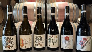 Seis botellas de vino con etiquetas, cada una con diferentes ilustraciones y texto, colocadas frente a barriles de madera.