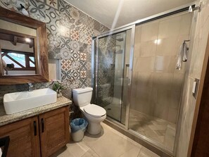 Shower, towels, soap, toilet paper