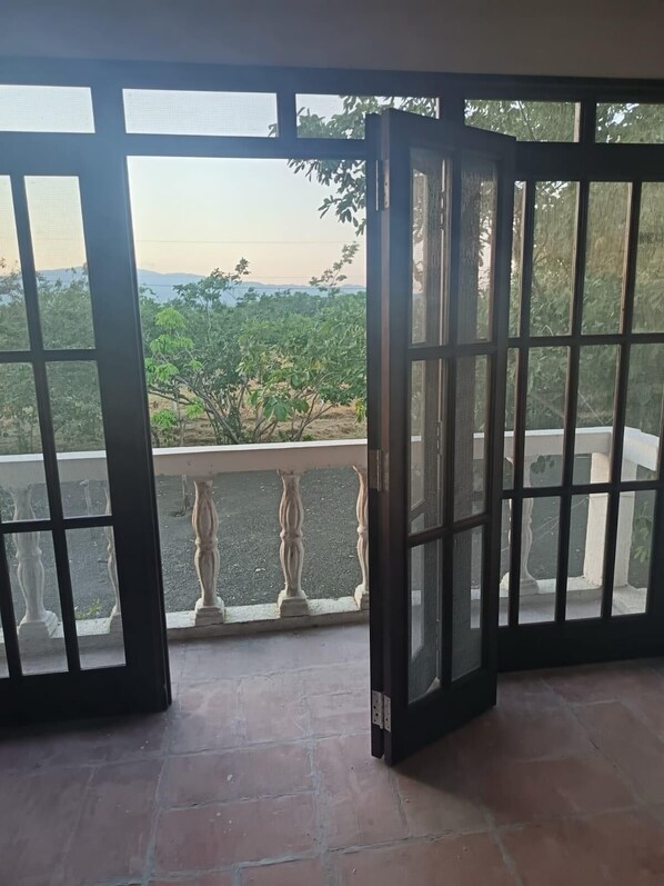 A room with a view of a garden and trees through a large window with a metal screen.