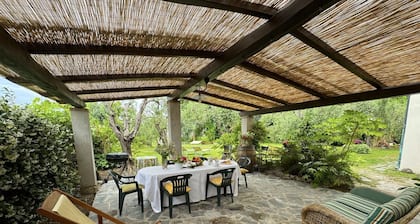 Casa Romana - Viareggio ,Tuscany