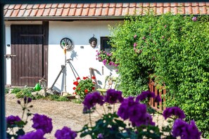 A rustic building with a wooden door, a telescope, and a garden with flowers and greenery.