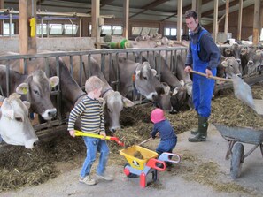 A barn with cows, a man, and children feeding the animals.