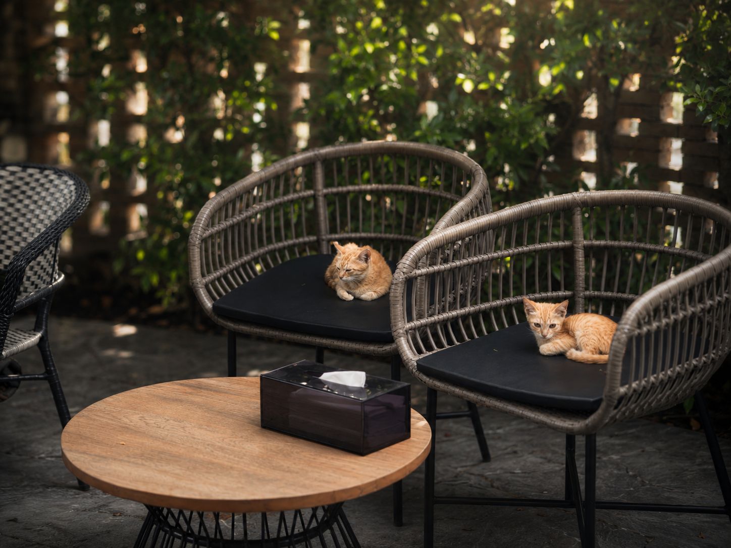 A round wooden table with a black box on it, surrounded by wicker chairs with black cushions.