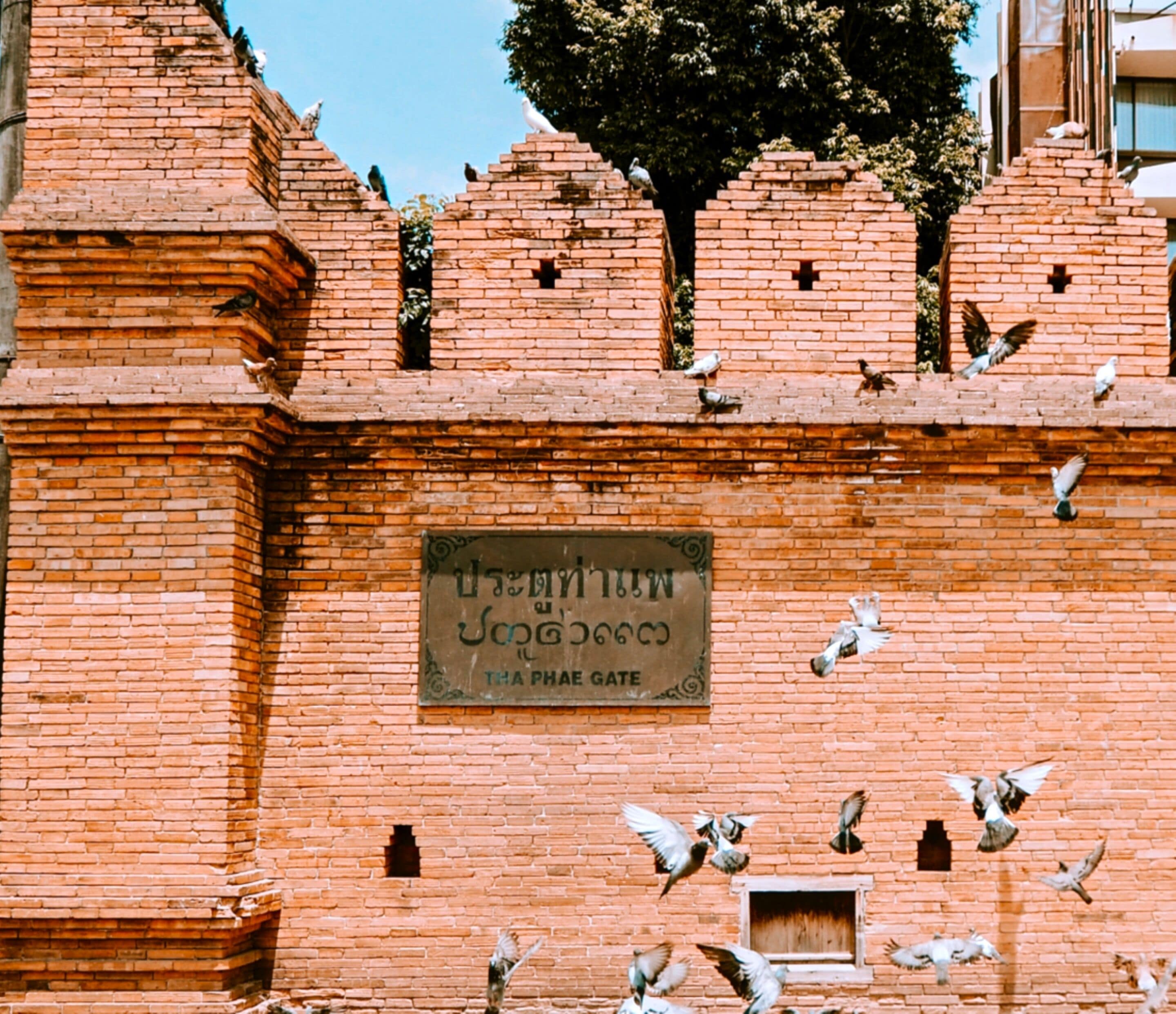 Un muro de ladrillo con un letrero que dice "Tha Phae Gate" y palomas volando.