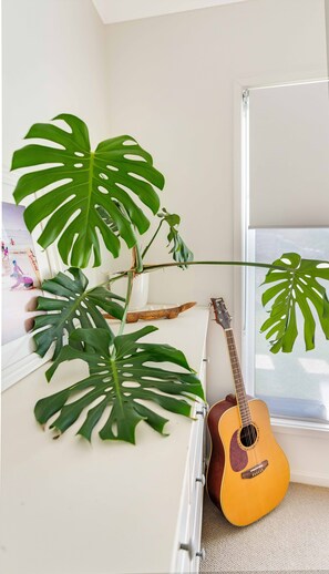 Interior - Bangalow Breeze - Lovely pool - Walk to centre (Bangalow)