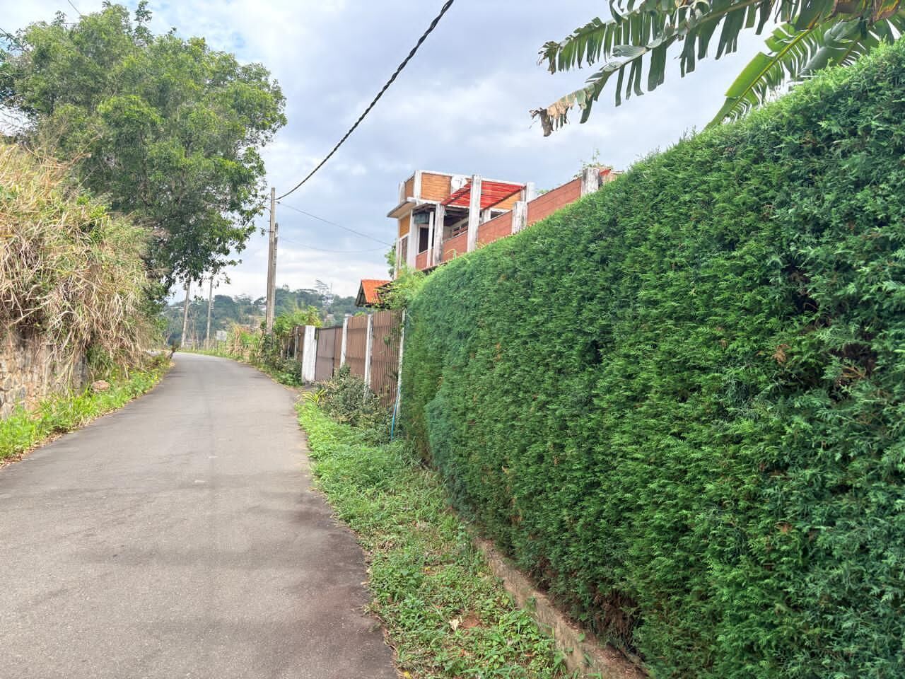 Un camino estrecho bordeado por setos verdes y un edificio en construcción con ladrillo visto.