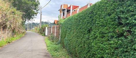 Un camino estrecho bordeado por setos verdes y un edificio en construcción con ladrillo visto.