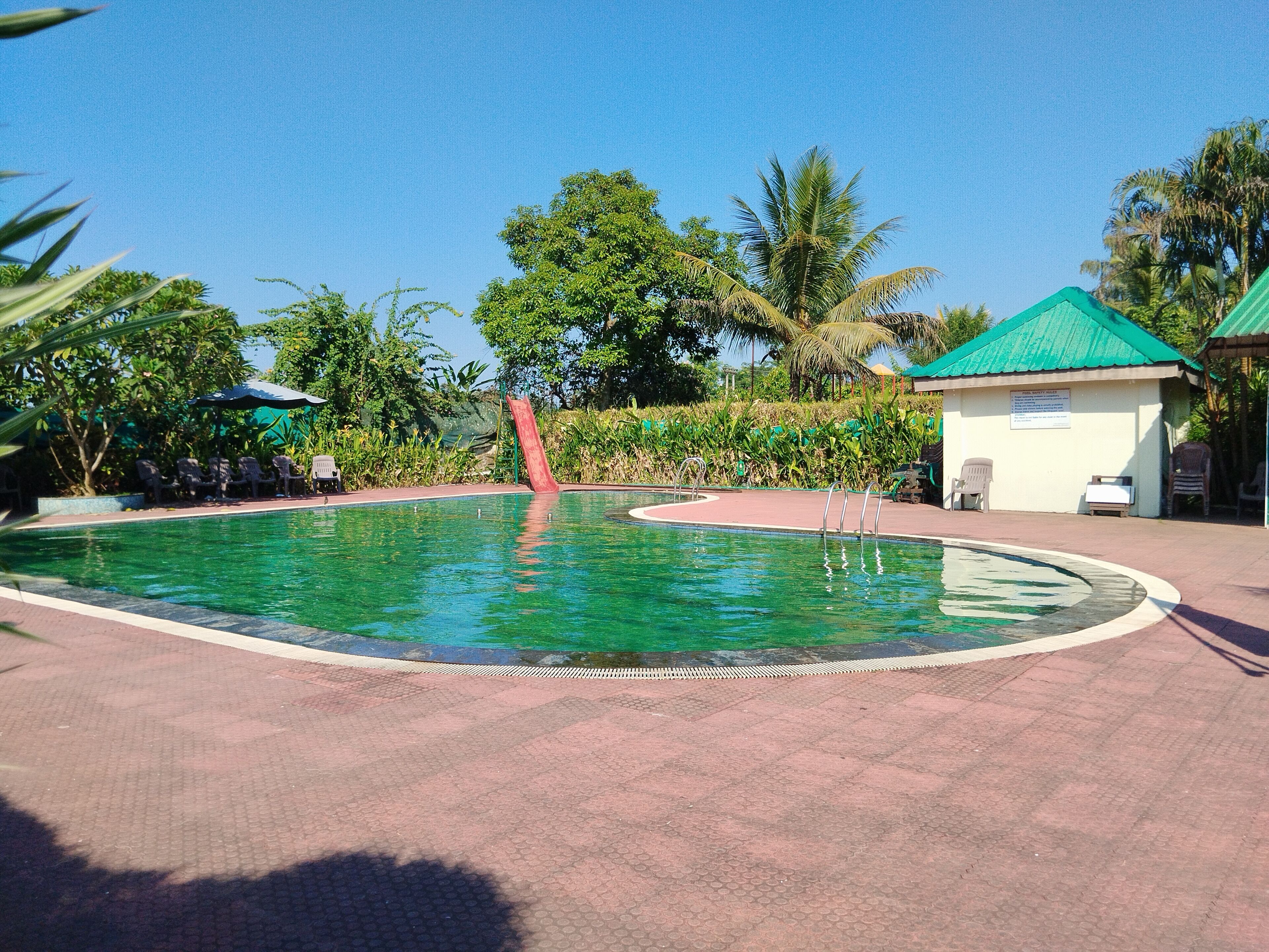 Une piscine avec un toboggan rouge, entourée de palmiers et d’un petit bâtiment doté d’un toit vert.