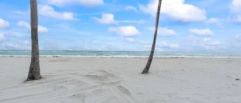On the beach