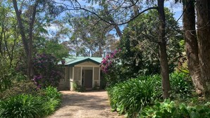 A pathway leading to a small, single-story building with a green roof, surrounded by lush greenery and trees. - Beautiful Blue Mountains Garden Flat
 (Katoomba)