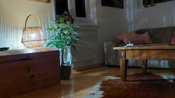 TV connectée, cheminée, livres