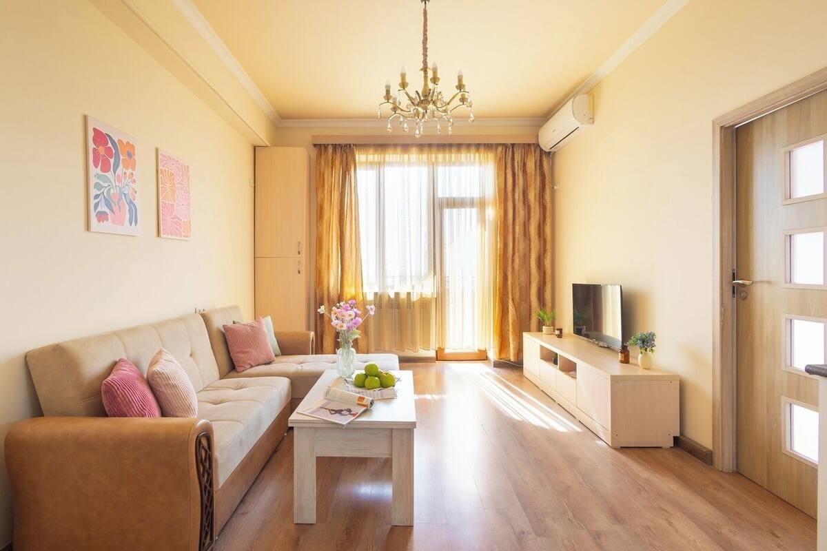 Basic Apartment | Living area | TV