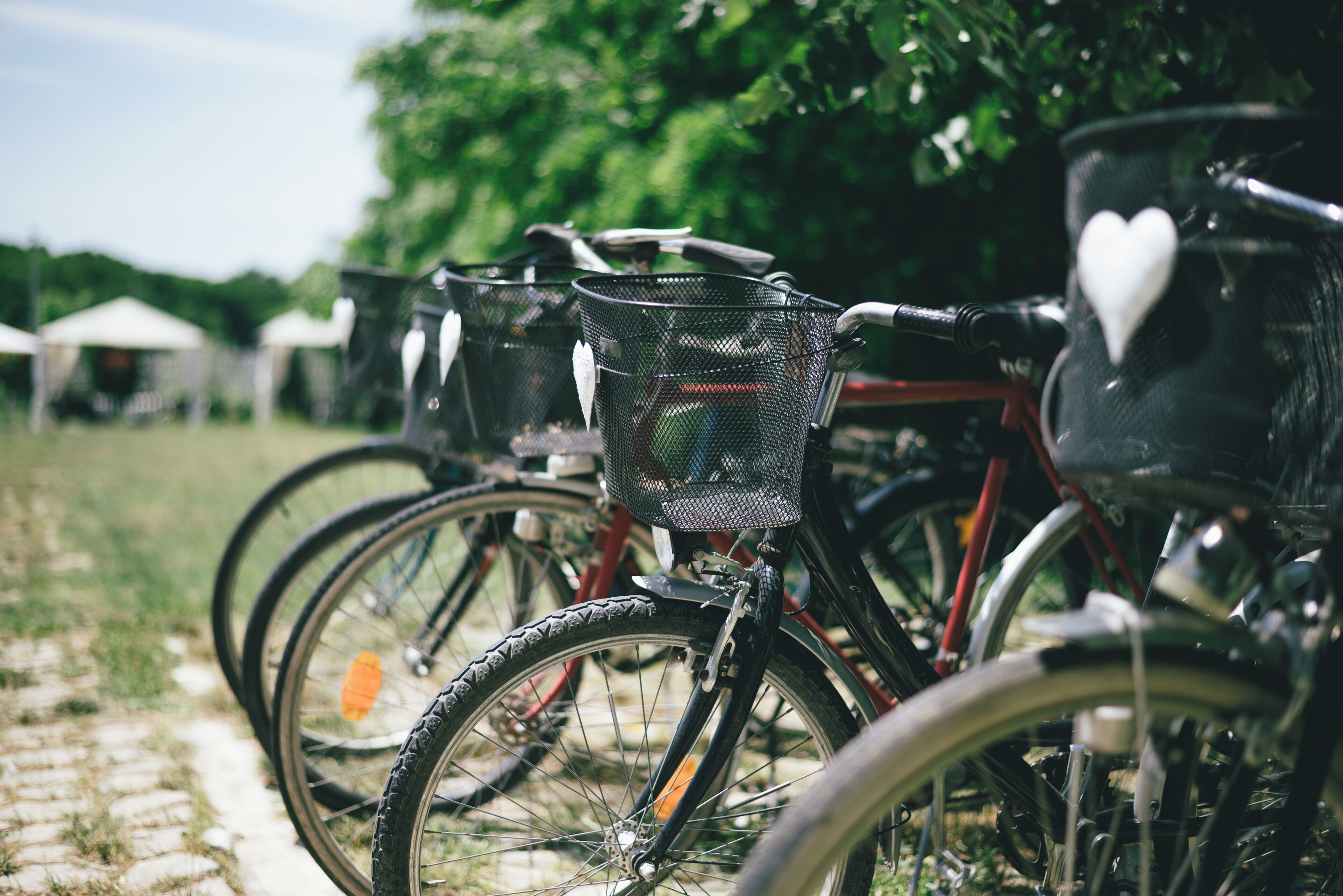 Bicicletas estacionadas en fila, cada una con una cesta en el manillar.