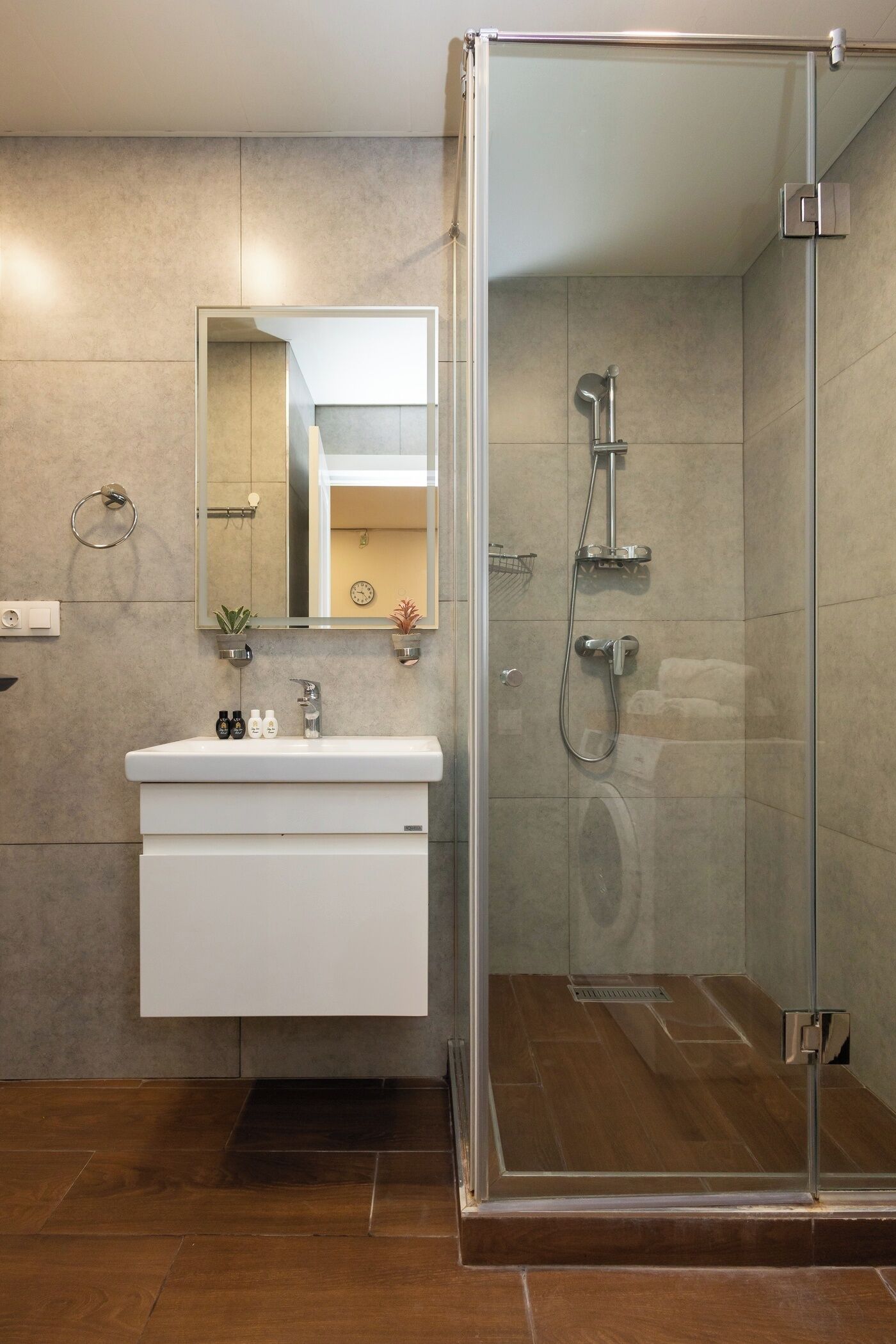 A modern bathroom with a glass-enclosed shower, a white sink with a mirror above it, and a small plant on the wall.