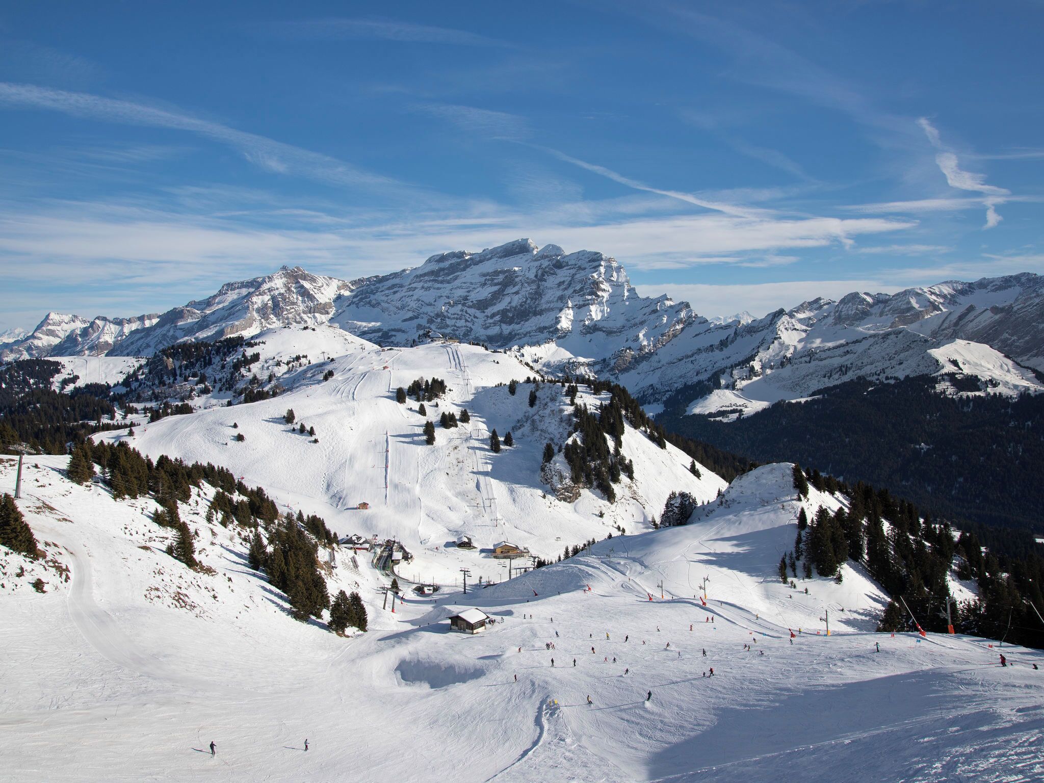 Snø- og skisport