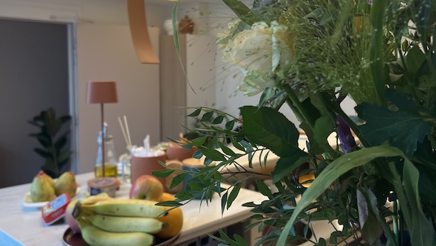 Um balcão com diversas frutas e um vaso de planta.