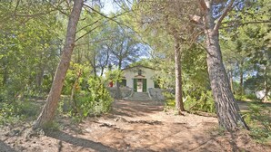 A rustic building with a stone staircase leading to a green door, surrounded by trees and a dirt path. - Teresa - beautiful house 150 meters from the beach (Alcúdia)