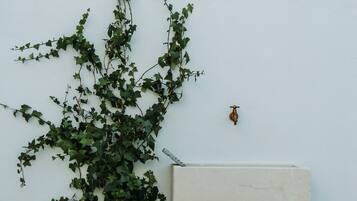A white wall with a potted plant and a small table.