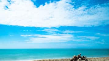 Beach shuttle
