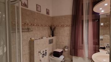 Ducha, secador de pelo, toallas y papel higiénico