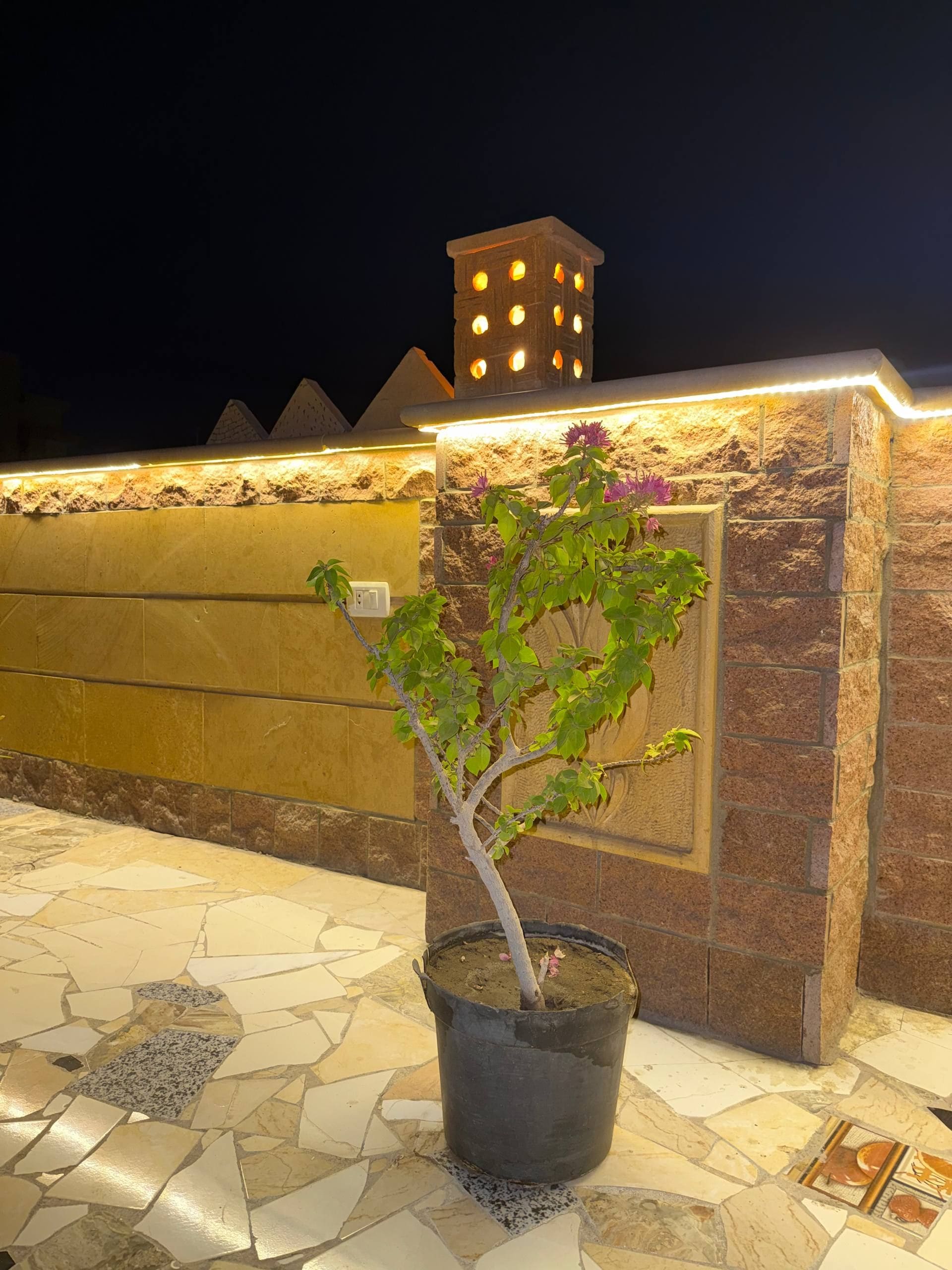 Foto - King Badr pyramids inn