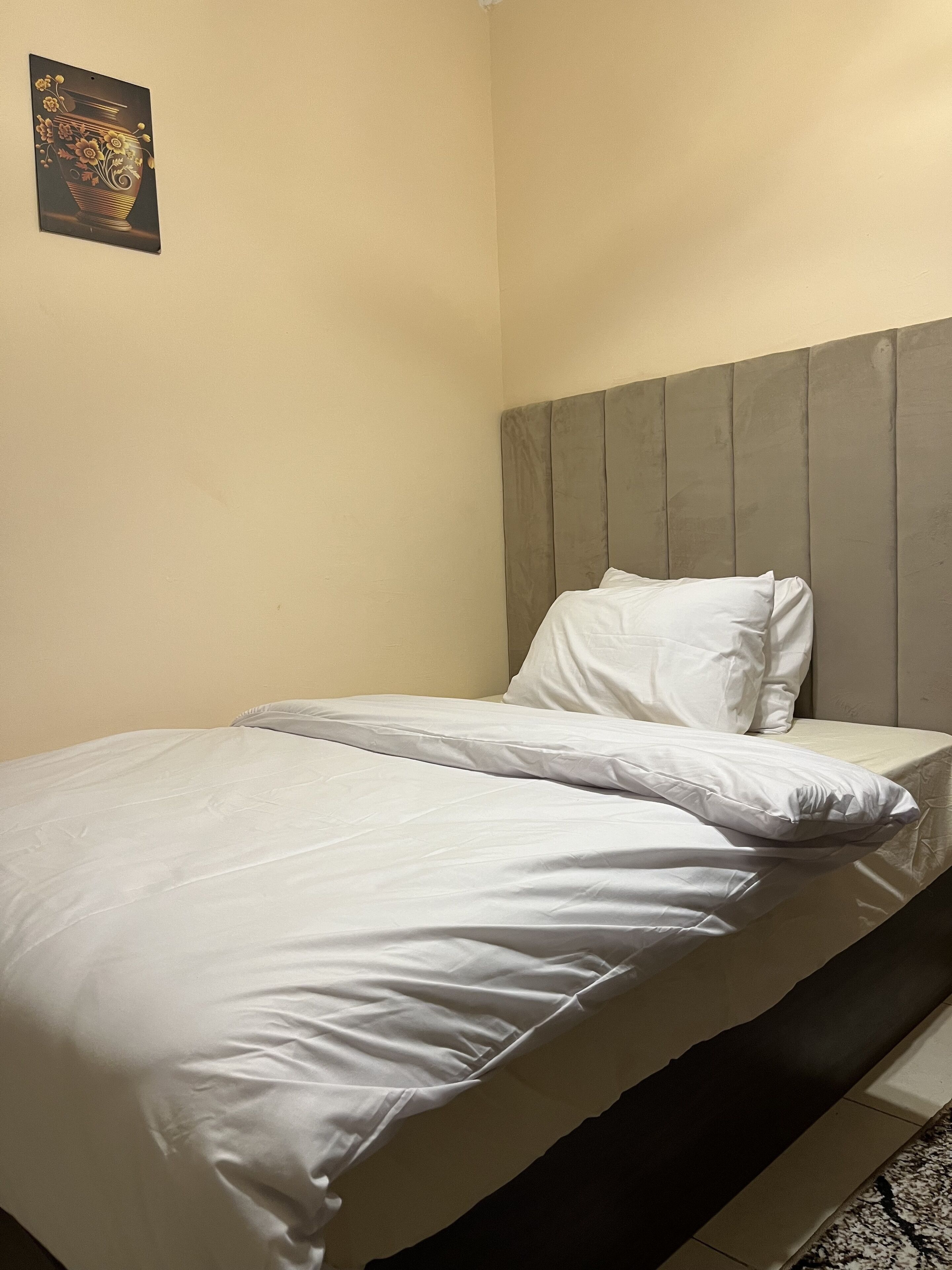 Foto - King Badr pyramids