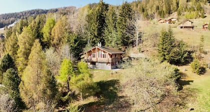Chalet Ă Didi - Alpes Paradise- Ski in and out