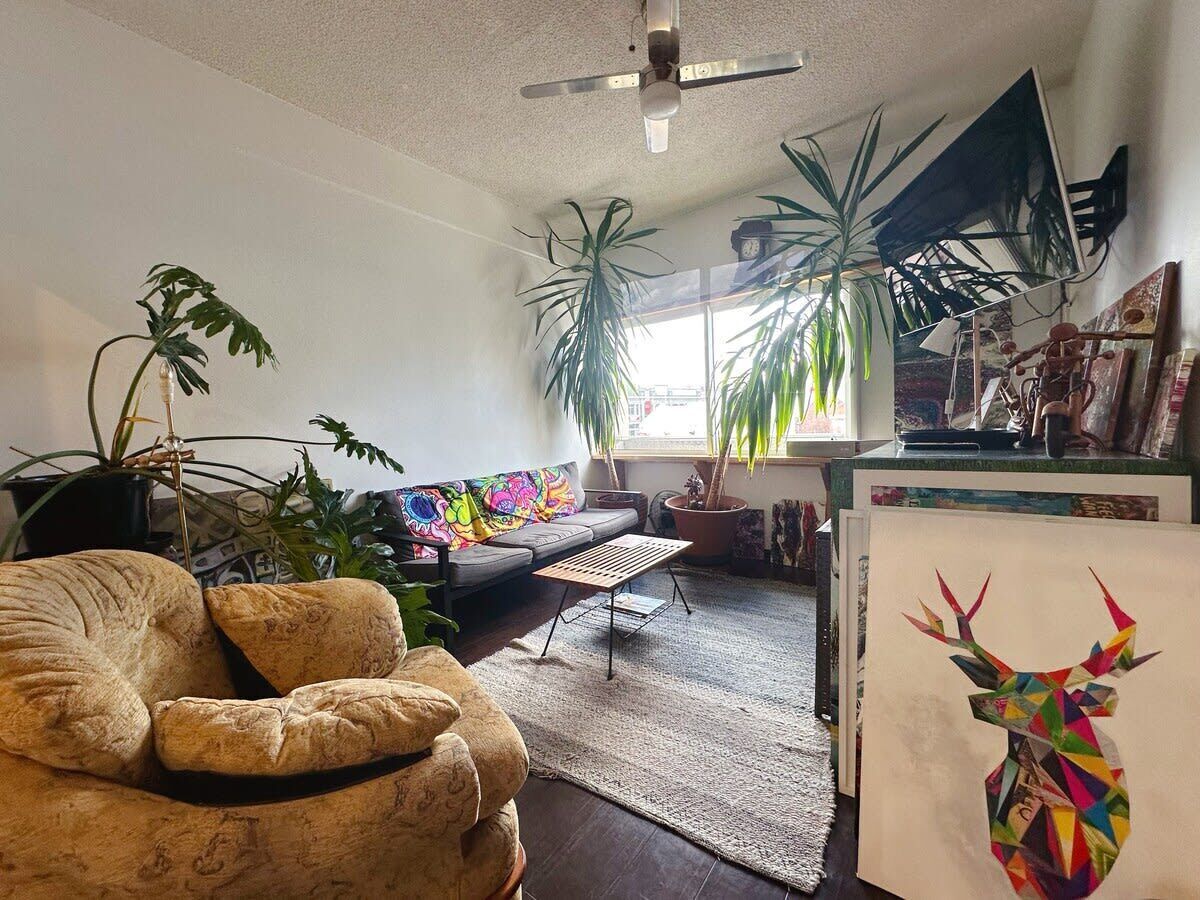 TV, offices