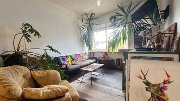 TV, offices