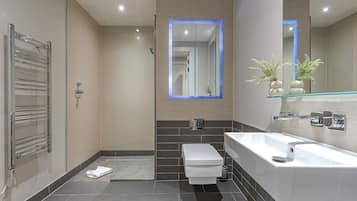 Shower, free toiletries, hair dryer, towels