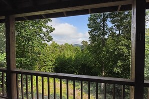 Property grounds - Hayden’s Hideaway - View, hot tub, game room, fun! (Blairsville)