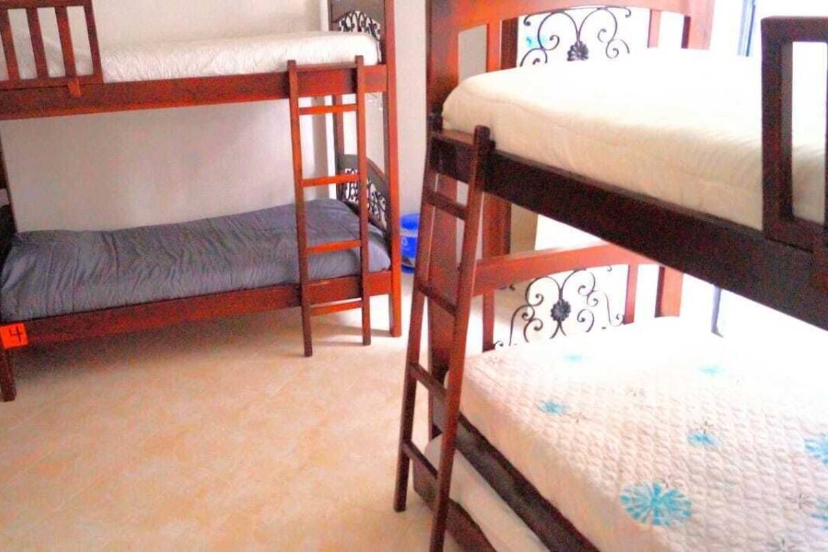 A bunk bed room with two beds, a wooden ladder, and a small dresser.